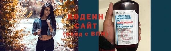 шишки Нея