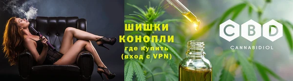 ALPHA-PVP Новозыбков